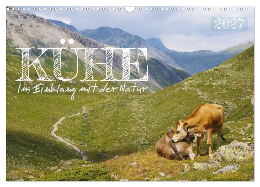 Kühe im Einklang mit der Natur (Wandkalender 2027 DIN A3 quer) CALVENDO Monatskalender