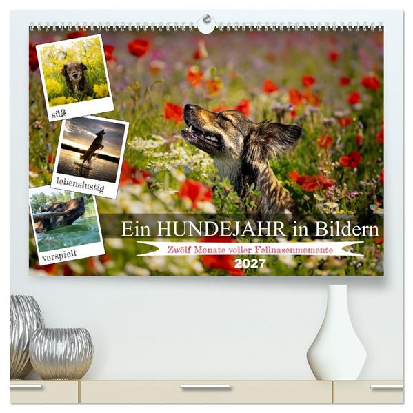Ein Hundejahr in Bildern (hochwertiger Premium Wandkalender 2027 DIN A2 quer) Kunstdruck in Hochglanz