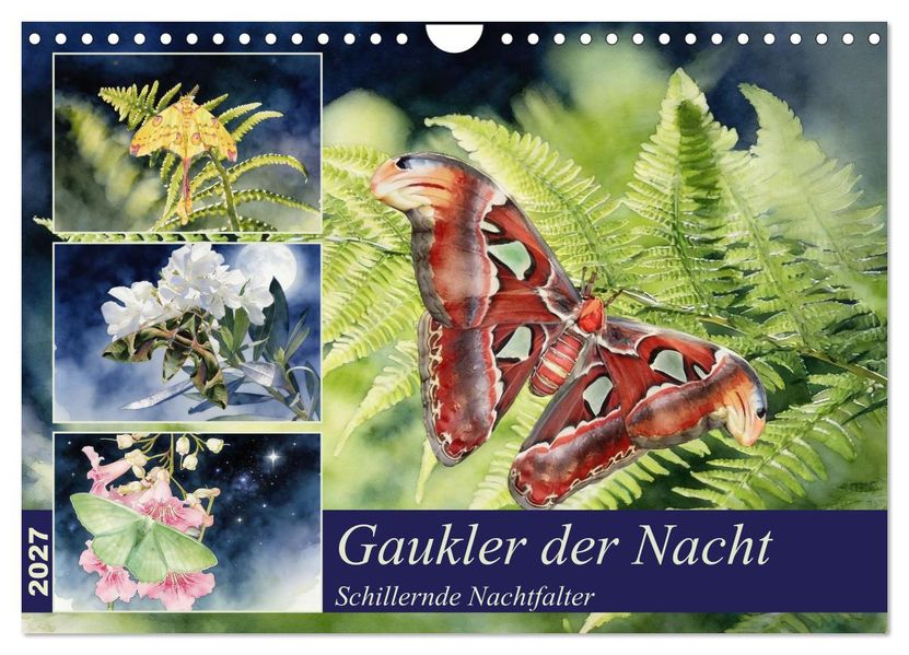 Gaukler der Nacht - Schillernde Nachtfalter (Wandkalender 2027 DIN A4 quer) CALVENDO Monatskalender