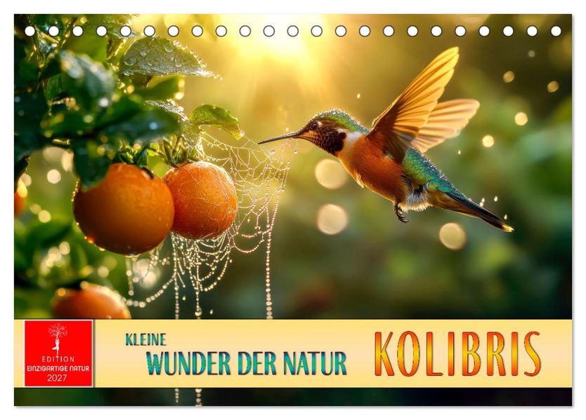 Kolibris - kleine Wunder der Natur (Tischkalender 2027 DIN A5 quer) CALVENDO Monatskalender