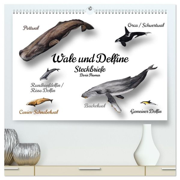 Wale und Delfine Steckbriefe (hochwertiger Premium Wandkalender 2027 DIN A2 quer) Kunstdruck in Hochglanz