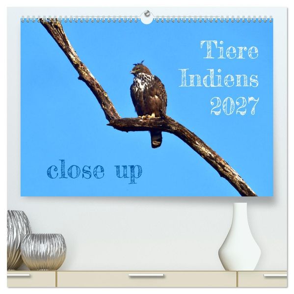 Tiere Indiens close up (hochwertiger Premium Wandkalender 2027 DIN A2 quer) Kunstdruck in Hochglanz