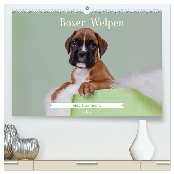 Boxer Welpen einfach zuckersüß (hochwertiger Premium Wandkalender 2027 DIN A2 quer) Kunstdruck in Hochglanz