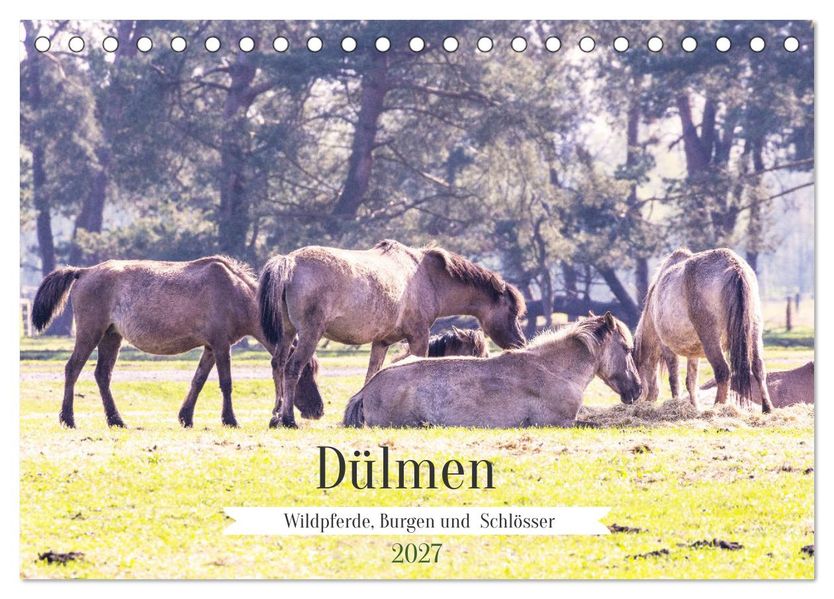 Dülmen - Wildpferde Burgen und Schlösser (Tischkalender 2027 DIN A5 quer) CALVENDO Monatskalender
