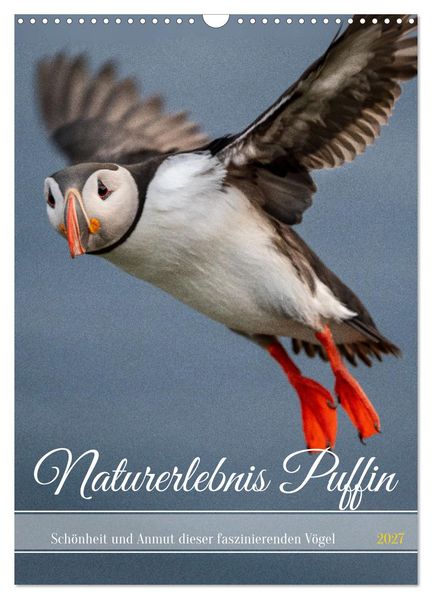 Naturerlebnis Puffin (Wandkalender 2027 DIN A3 hoch) CALVENDO Monatskalender