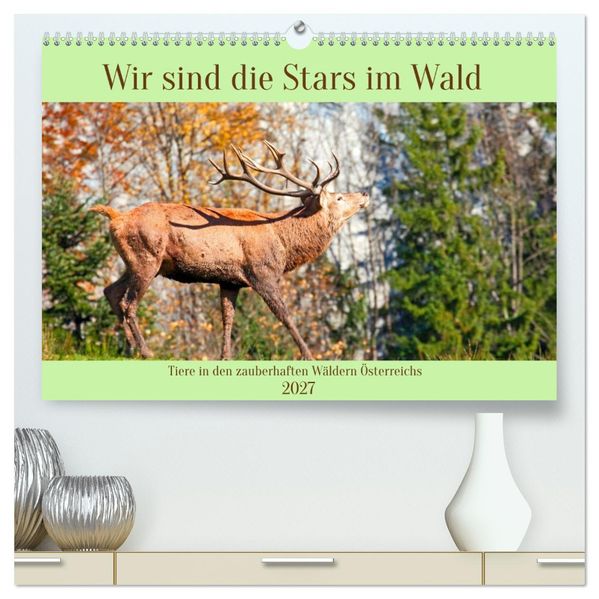 Wir sind die Stars im Wald (hochwertiger Premium Wandkalender 2027 DIN A2 quer) Kunstdruck in Hochglanz