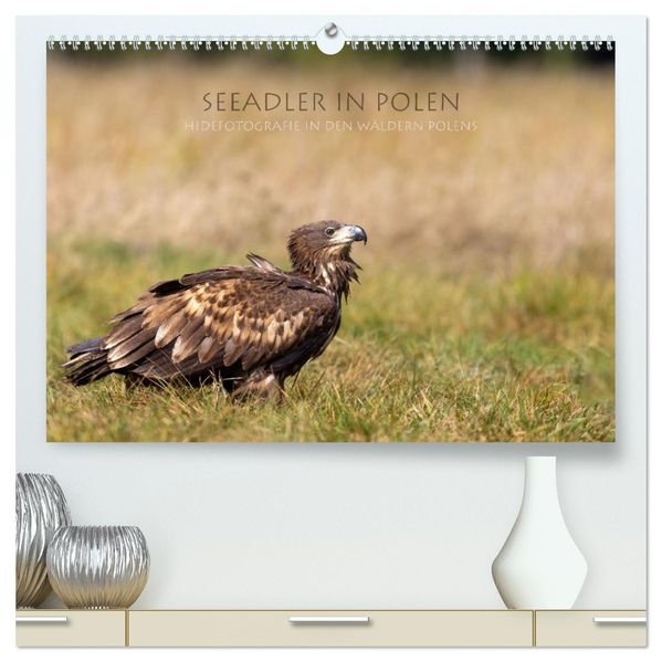 Seeadler in Polen (hochwertiger Premium Wandkalender 2027 DIN A2 quer) Kunstdruck in Hochglanz