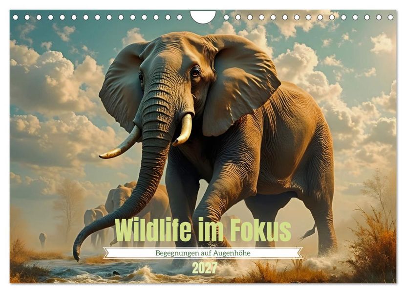 Wildlife im Fokus - Begegnungen auf Augenhöhe (Wandkalender 2027 DIN A4 quer) CALVENDO Monatskalender