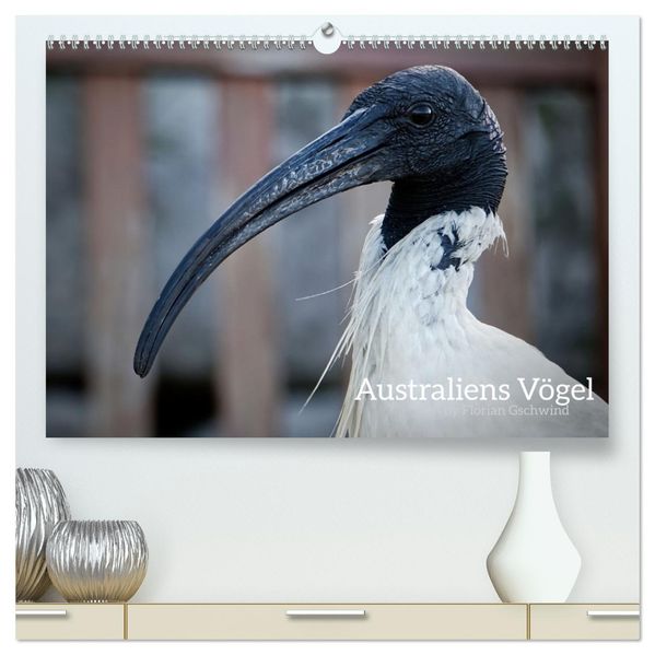 Australiens Vögel (hochwertiger Premium Wandkalender 2027 DIN A2 quer) Kunstdruck in Hochglanz