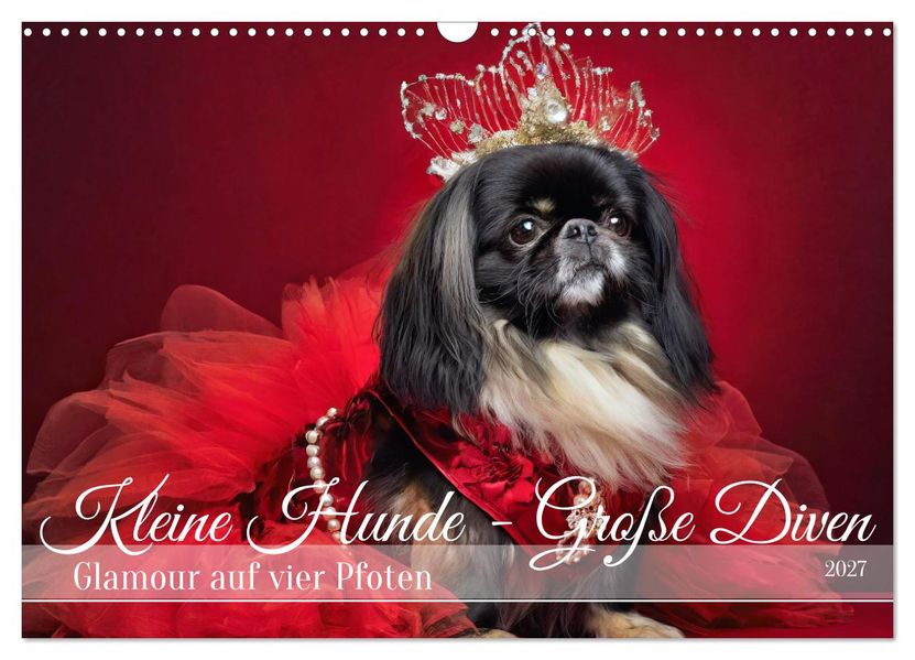 Kleine Hunde - Große Diven (Wandkalender 2027 DIN A3 quer) CALVENDO Monatskalender