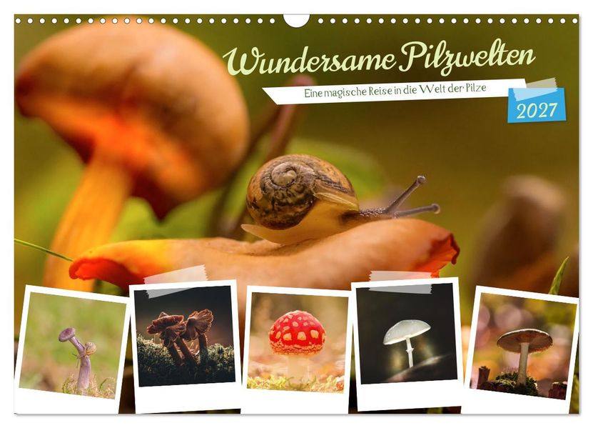 Wundersame Pilzwelten (Wandkalender 2027 DIN A3 quer) CALVENDO Monatskalender