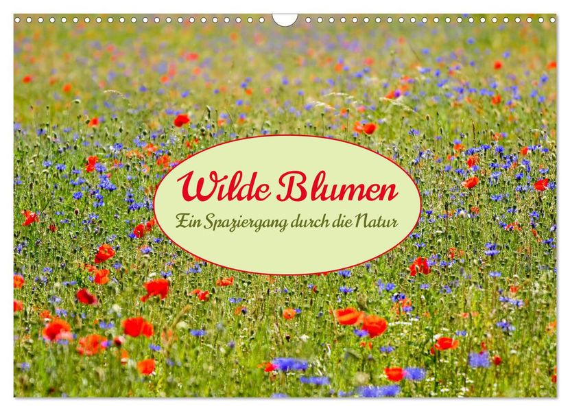 Wilde Blumen - ein Spaziergang durch die Natur (Wandkalender 2027 DIN A3 quer) CALVENDO Monatskalender