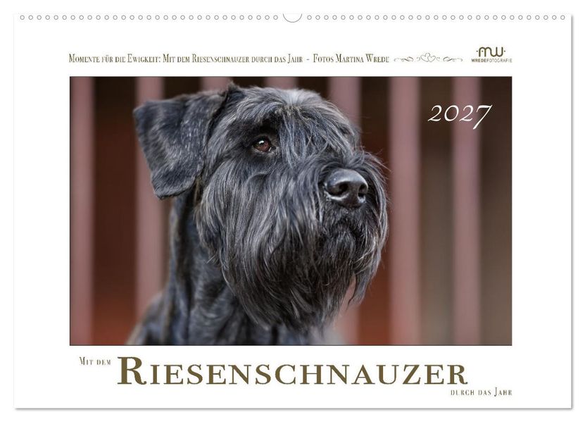 Mit dem Riesenschnauzer durch das Jahr (Wandkalender 2027 DIN A2 quer) CALVENDO Monatskalender