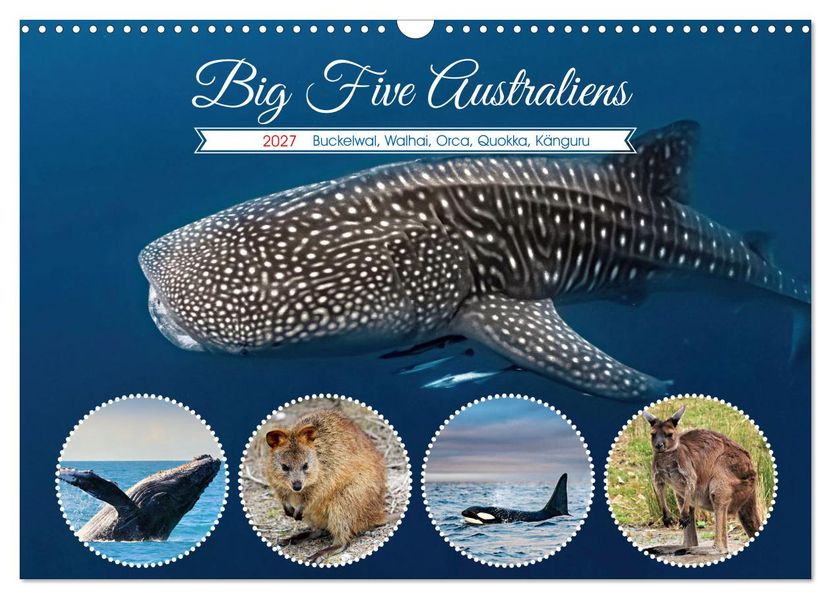 Big Five Australiens Buckelwal Walhai Orca QuokkaKänguru (Wandkalender 2027 DIN A3 quer) CALVENDO Monatskalender
