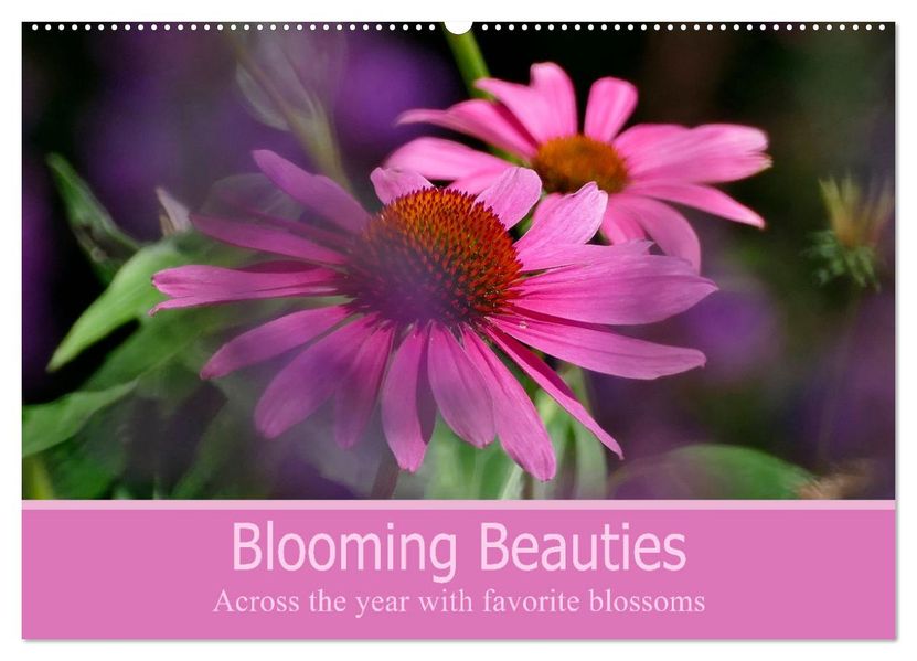 Blooming beauties (Wall Calendar 2027 DIN A2 landscape) CALVENDO 12 Month Wall Calendar