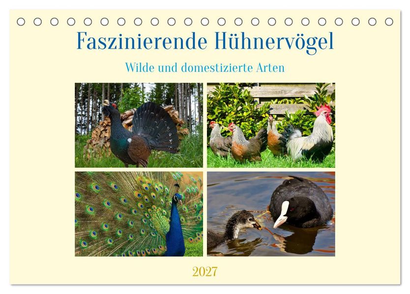 Faszinierende Hühnervögel (Tischkalender 2027 DIN A5 quer) CALVENDO Monatskalender