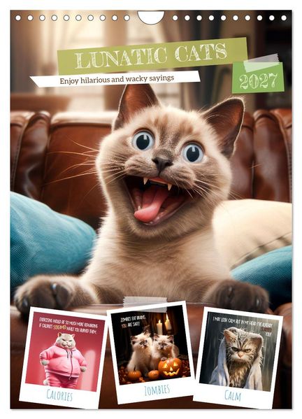 LUNATIC CATS Enjoy hilarious and wacky sayings (Wall Calendar 2027 DIN A4 portrait) CALVENDO 12 Month Wall Calendar