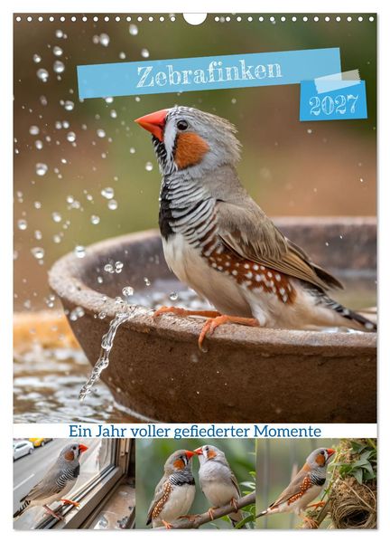 Zebrafinken - Ein Jahr voller gefiederter Momente (Wandkalender 2027 DIN A3 hoch) CALVENDO Monatskalender