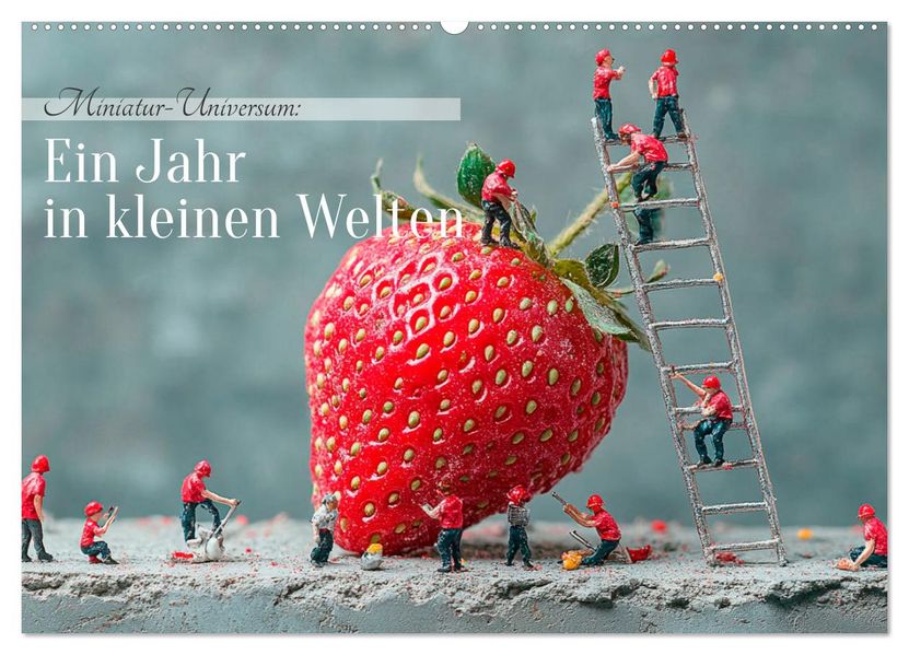 Miniatur-Universum: Ein Jahr in kleinen Welten (Wandkalender 2027 DIN A2 quer) CALVENDO Monatskalender