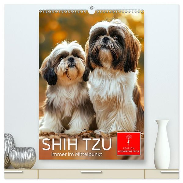 Shih Tzu - immer im Mittelpunkt (hochwertiger Premium Wandkalender 2027 DIN A2 hoch) Kunstdruck in Hochglanz