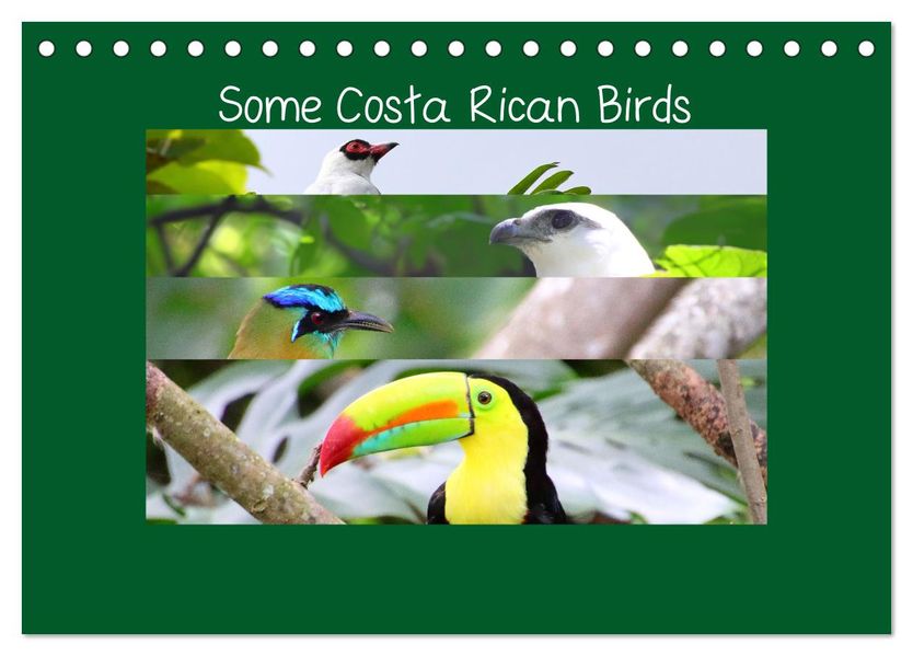 Some Costa Rican Birds (Desk Calendar 2027 DIN A5 landscape) CALVENDO 12 Month DeskCalendar