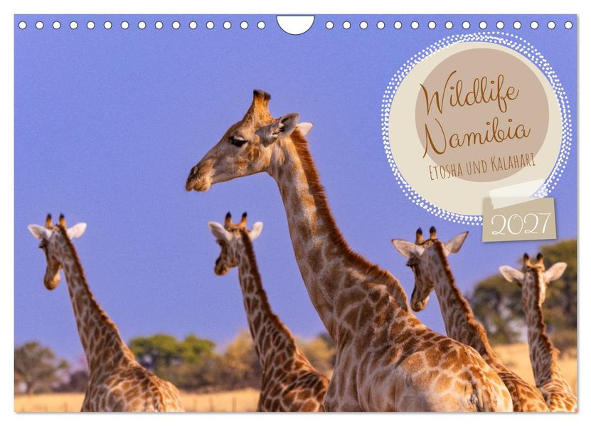 Wildlife Namibia - Etosha und Kalahari (Wandkalender 2027 DIN A4 quer) CALVENDO Monatskalender