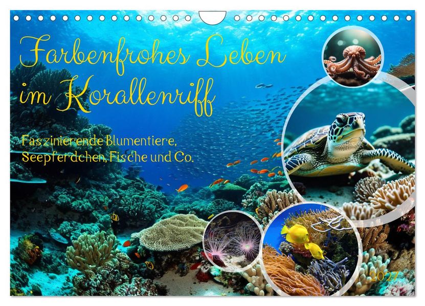 Farbenfrohes Leben im Korallenriff (Wandkalender 2027 DIN A4 quer) CALVENDO Monatskalender