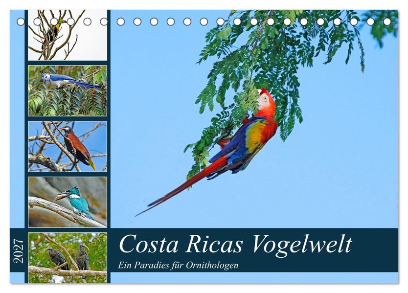 Costa Ricas Vogelwelt (Tischkalender 2027 DIN A5 quer) CALVENDO Monatskalender