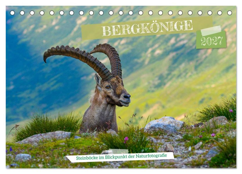 Bergkönige - Steinböcke im Blickpunkt der Naturfotografie (Tischkalender 2027 DIN A5 quer) CALVENDO Monatskalender