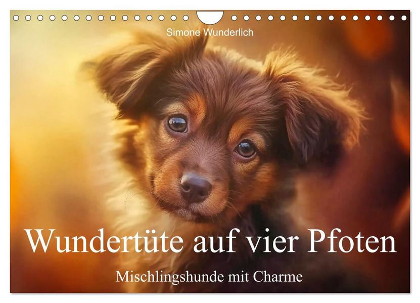 Wundertüte auf vier Pfoten - Mischlingshunde mit Charme (Wandkalender 2027 DIN A4 quer) CALVENDO Monatskalender