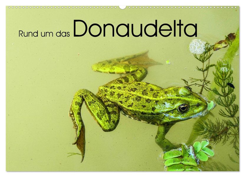 Rund um das Donaudelta (Wandkalender 2027 DIN A2 quer) CALVENDO Monatskalender