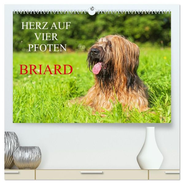 Herz auf vier Pfoten - Briard (hochwertiger Premium Wandkalender 2027 DIN A2 quer) Kunstdruck in Hochglanz