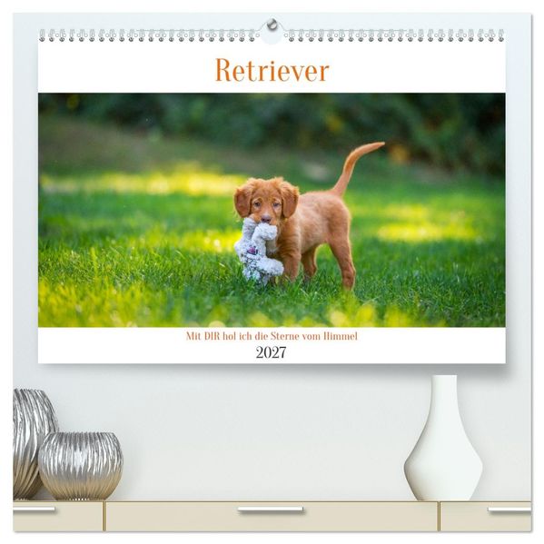 Retriever - Mit DIR hol ich die Sterne vom Himmel (hochwertiger Premium Wandkalender 2027 DIN A2 quer) Kunstdruck in Hochglanz