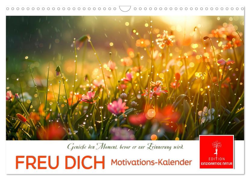 Freu Dich Motivations-Kalender (Wandkalender 2027 DIN A3 quer) CALVENDO Monatskalender