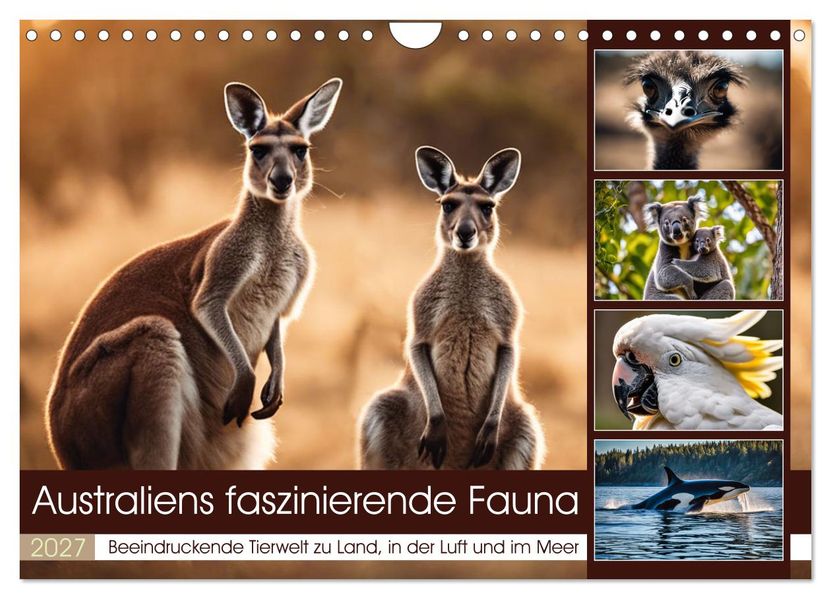 Australiens faszinierende Fauna (Wandkalender 2027 DIN A4 quer) CALVENDO Monatskalender
