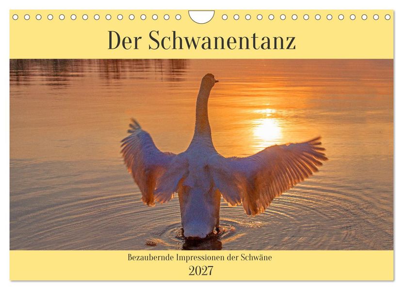 Der Schwanentanz (Wandkalender 2027 DIN A4 quer) CALVENDO Monatskalender