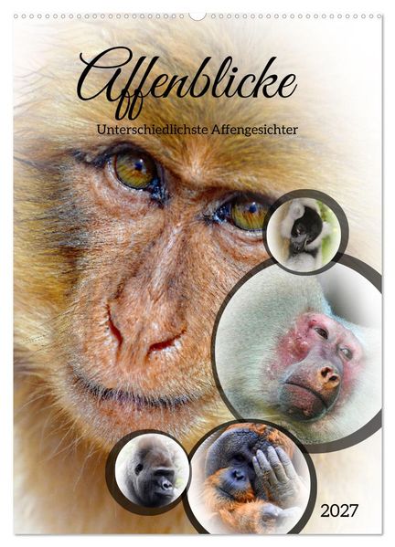 Affenblicke (Wandkalender 2027 DIN A2 hoch) CALVENDO Monatskalender