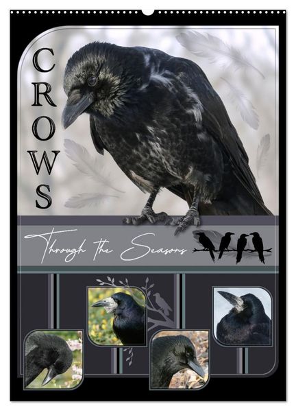 Crows - Through the Seasons (Wall Calendar 2027 DIN A2 portrait) CALVENDO 12 Month Wall Calendar