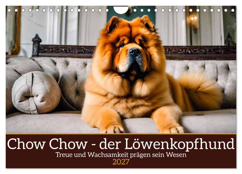 Chow Chow - der Löwenkopfhund (Wandkalender 2027 DIN A4 quer) CALVENDO Monatskalender