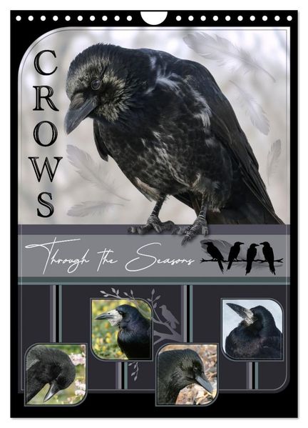 Crows - Through the Seasons (Wall Calendar 2027 DIN A4 portrait) CALVENDO 12 Month Wall Calendar