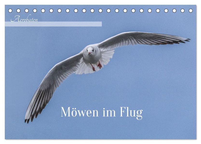 Aerorobaten - Möwen im Flug (Tischkalender 2027 DIN A5 quer) CALVENDO Monatskalender