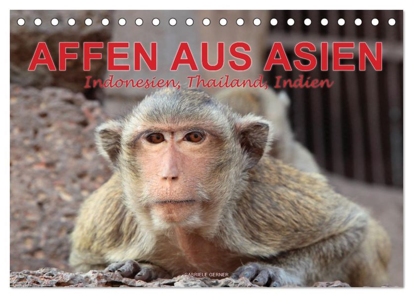 AFFEN AUS ASIEN Indonesien Thailand Indien (Tischkalender 2027 DIN A5 quer) CALVENDO Monatskalender