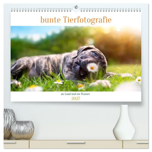 bunte Tierfotografie an Land und im Wasser (hochwertiger Premium Wandkalender 2027 DIN A2 quer) Kunstdruck in Hochglanz