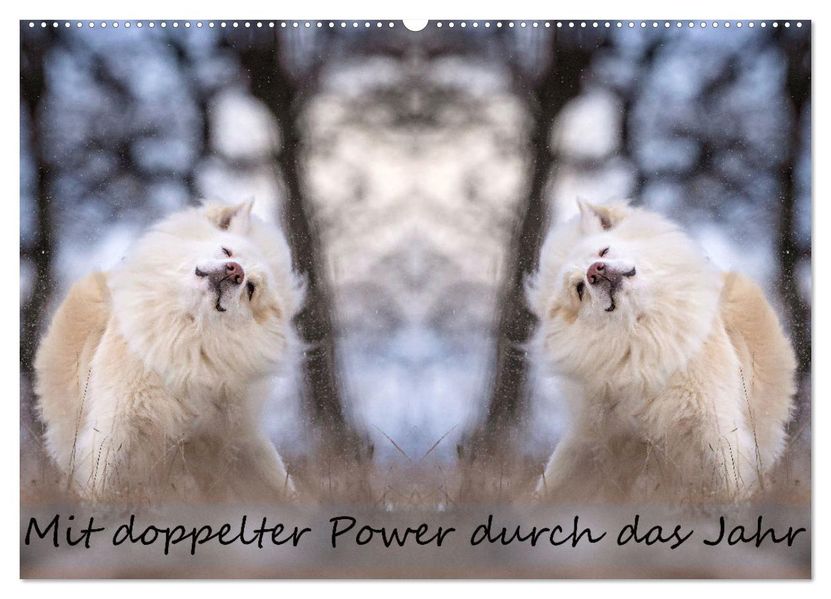 Mit doppelter Power durch das Jahr (Wandkalender 2027 DIN A2 quer) CALVENDO Monatskalender