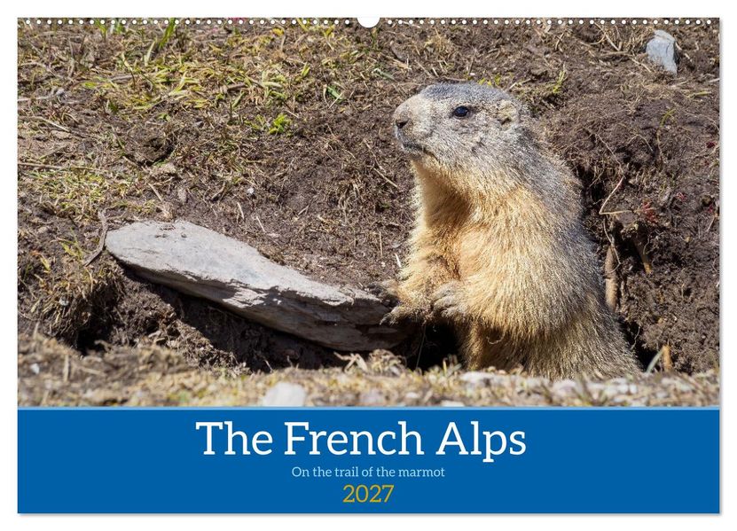 The French Alps on the trail of the marmot (Wall Calendar 2027 DIN A2 landscape) CALVENDO 12 Month Wall Calendar