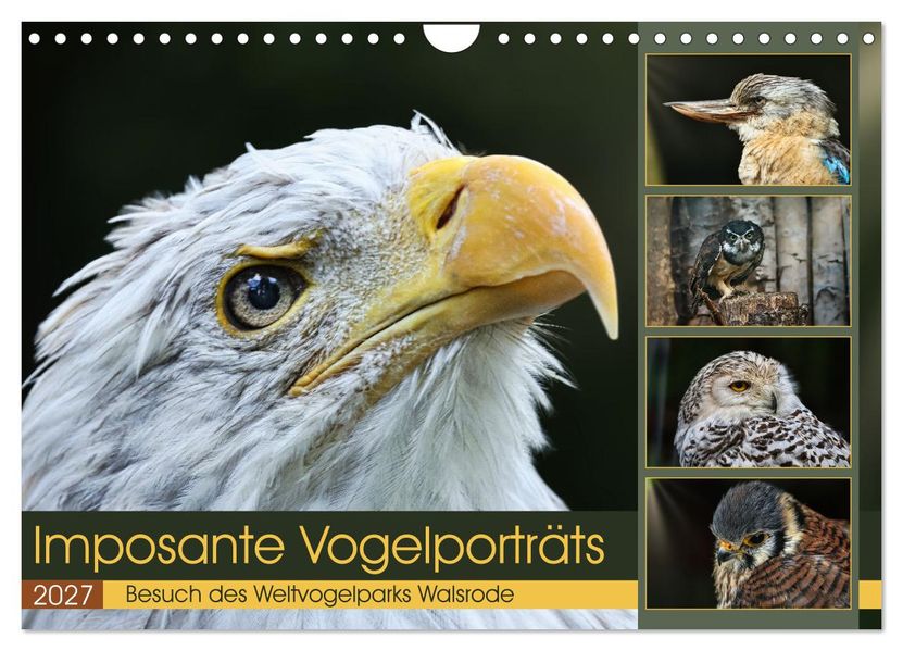 Imposante Vogelporträts (Wandkalender 2027 DIN A4 quer) CALVENDO Monatskalender