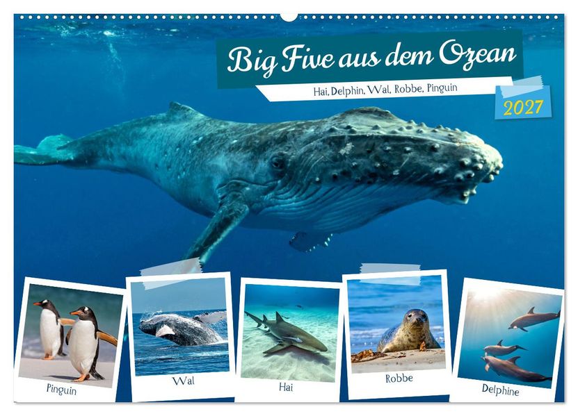 Big Five aus dem Ozean Hai Delphin Wal Robbe Pinguin (Wandkalender 2027 DIN A2 quer) CALVENDO Monatskalender
