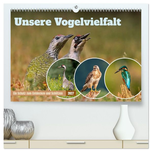 Unsere Vogelvielfalt: Ein Schatz zum Entdecken und Schützen (hochwertiger Premium Wandkalender 2027 DIN A2 quer) Kunstdruck in Hochglanz