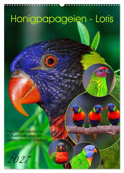 Honigpapageien - Loris (Wandkalender 2027 DIN A2 hoch) CALVENDO Monatskalender