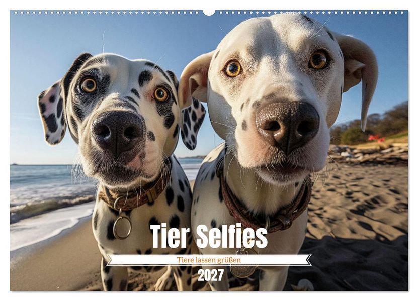 Tier Selfies (Wandkalender 2027 DIN A2 quer) CALVENDO Monatskalender
